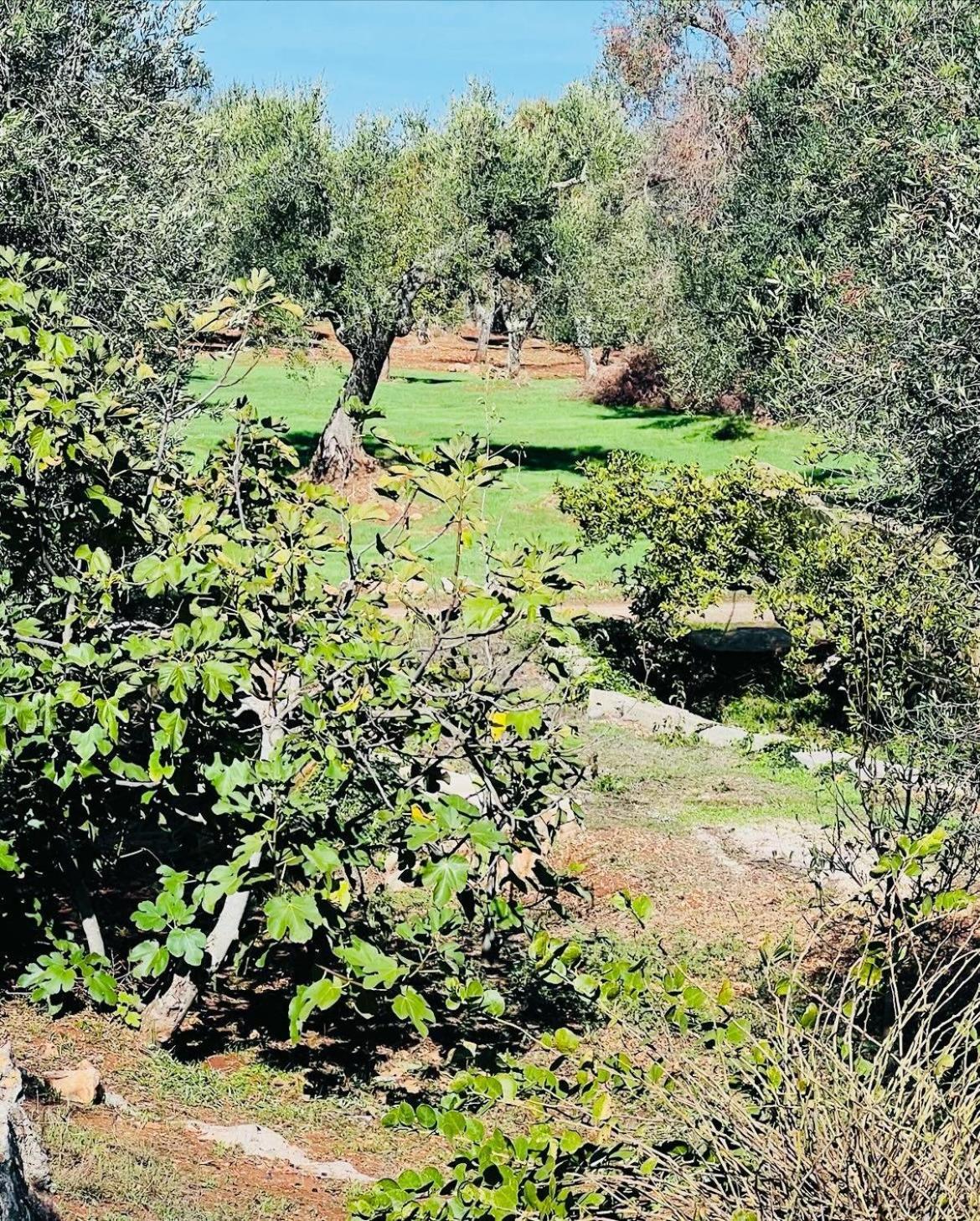 Trullo Antelmi Villa Ceglie Messapica Exterior photo